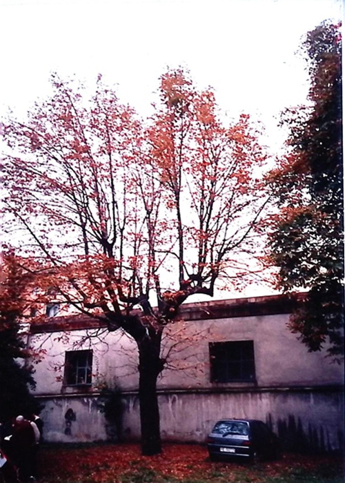 0000.00.00 Spazi Cortile Ala Vecchia Guardando Il Pollaio