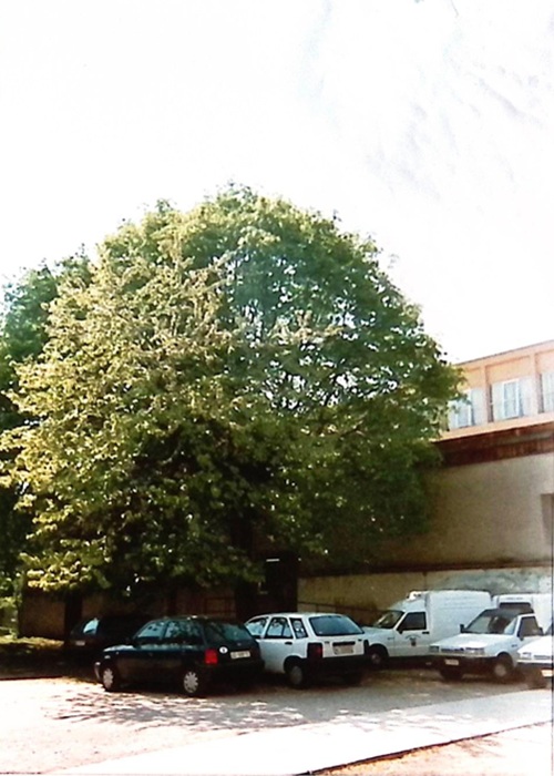 0000.00.00 Spazi Cortile Ala Vecchia Parcheggio Davanti Al Pollaio