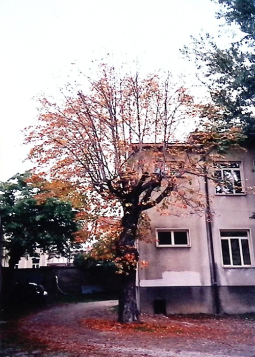 0000.00.00 Spazi Uscita Dal Cortile Ala Vecchia