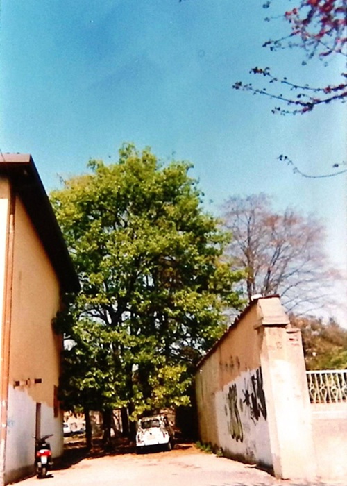 0000.00.00 Spazi Viale Di Accesso Al Cortile Ala Vecchia 1