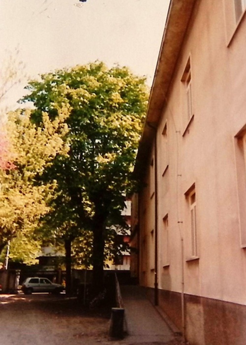 0000.00.00 Spazi Viale Di Accesso Al Liceo 3