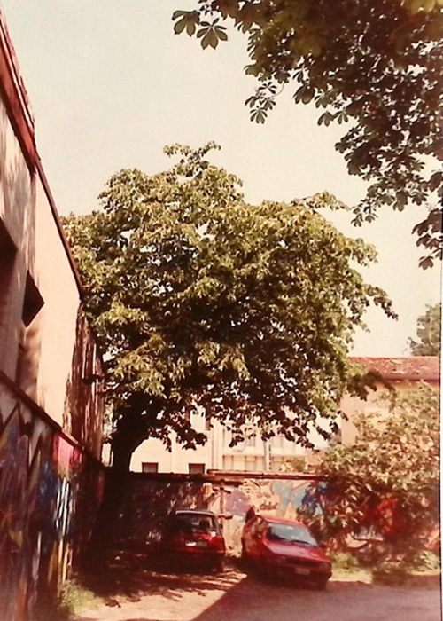 0000.00.00 Spazi Viale Di Accesso Al Liceo 4